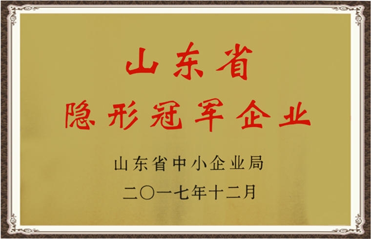 山东省隐形冠军企业