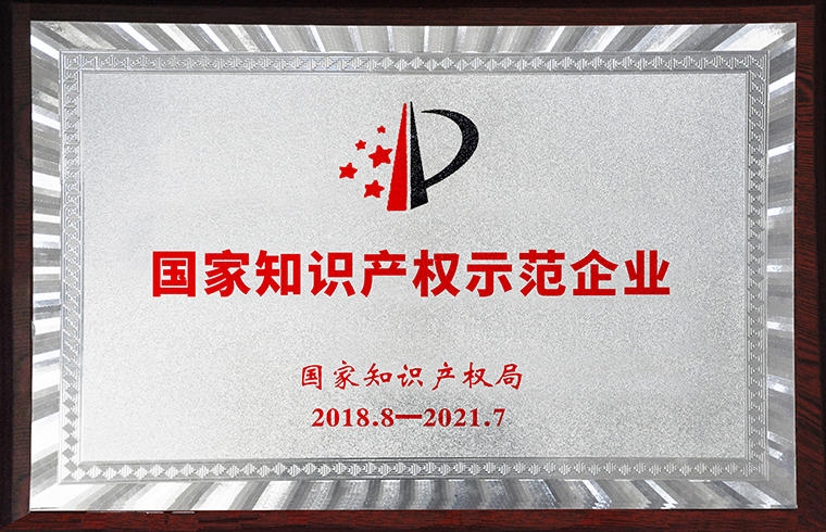 国家知识产权示范企业